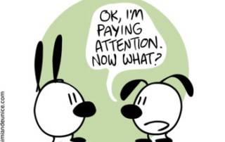 Are attention spans shrinking?