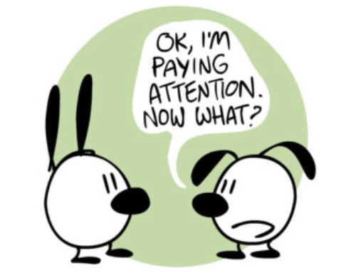 Shrinking Attention Spans for Websites