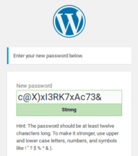 Wordpress Password Strength - plumThumb Website Maintenance Plans
